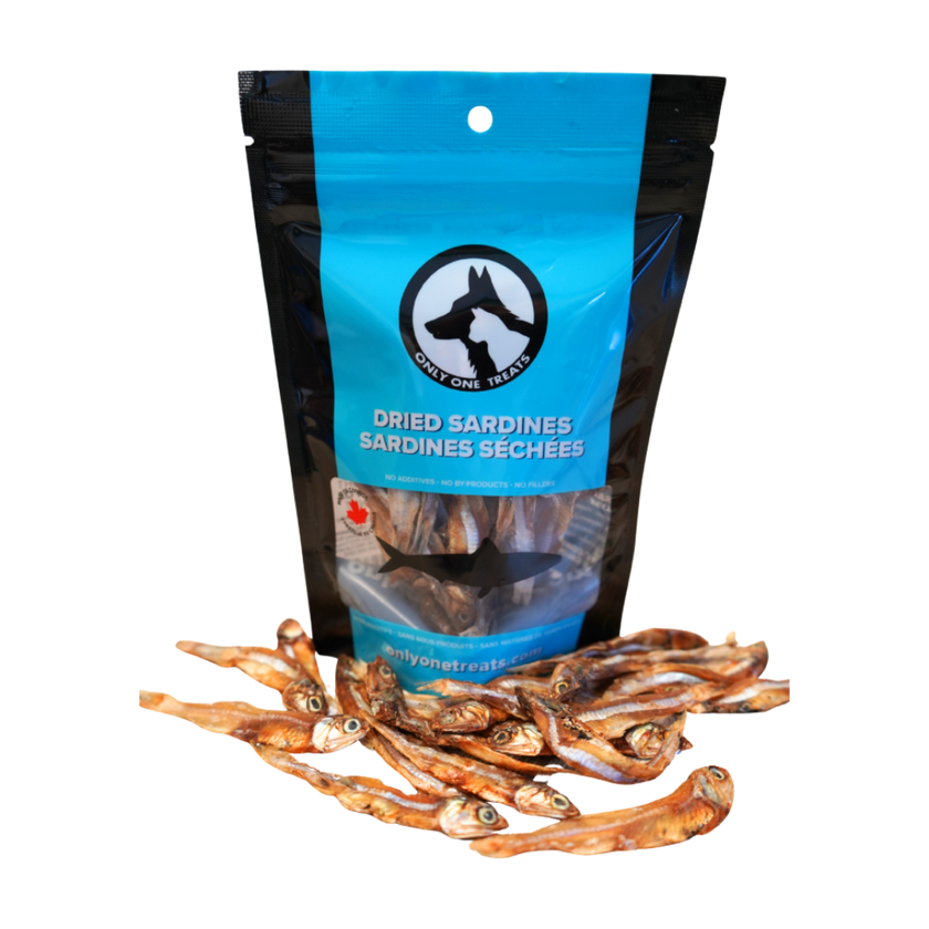 Dried Sardines 40g