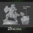 Dwarf Fighter | Hammer & Shield | 5e