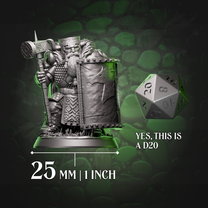 Dwarf Paladin - Shield & Hammer