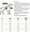Heart Love Dog Dress | Designer Pet Dress