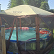 VEVOR Gazebo Screen Tent, 10 x 10 ft, 6 Sided Pop-up Camping Canopy Shelter Tent with Mesh Windows, Portable Carry Bag, Ground Stakes, Large Shade Tents for Outdoor Camping, Lawn and Backyard