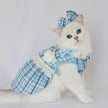 Kitty Blues Dress Set