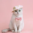 Babygirl Bow Dog Necklace | Pearl Bow Pet Collar