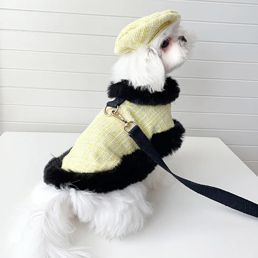 Plaid Tweed Harness Set | Dog Harness Leash and Hat Set