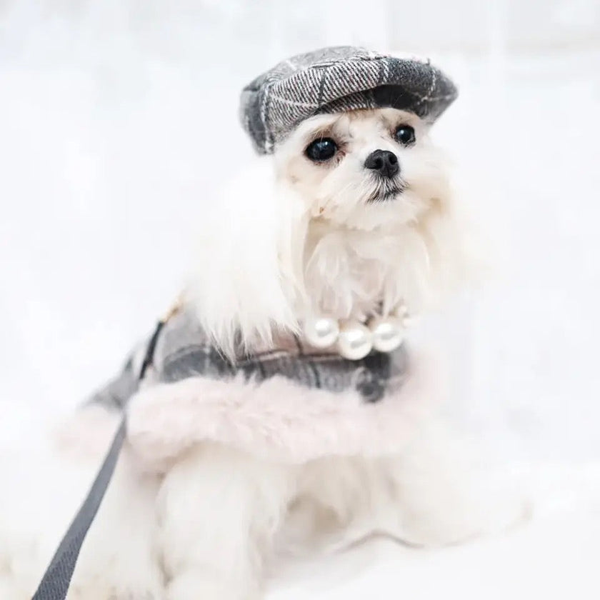 Peaky Street Tweed Dog Harness Set | Harness Hat and Leash Outfit