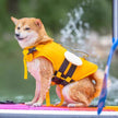 BumbleBee LifeJacket