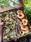 Boîte de cueillette de fruits sauvages dans un verger de pommiers