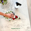 EARTHLY CO - Notpaper Towel 10/PK Butterfly meadows