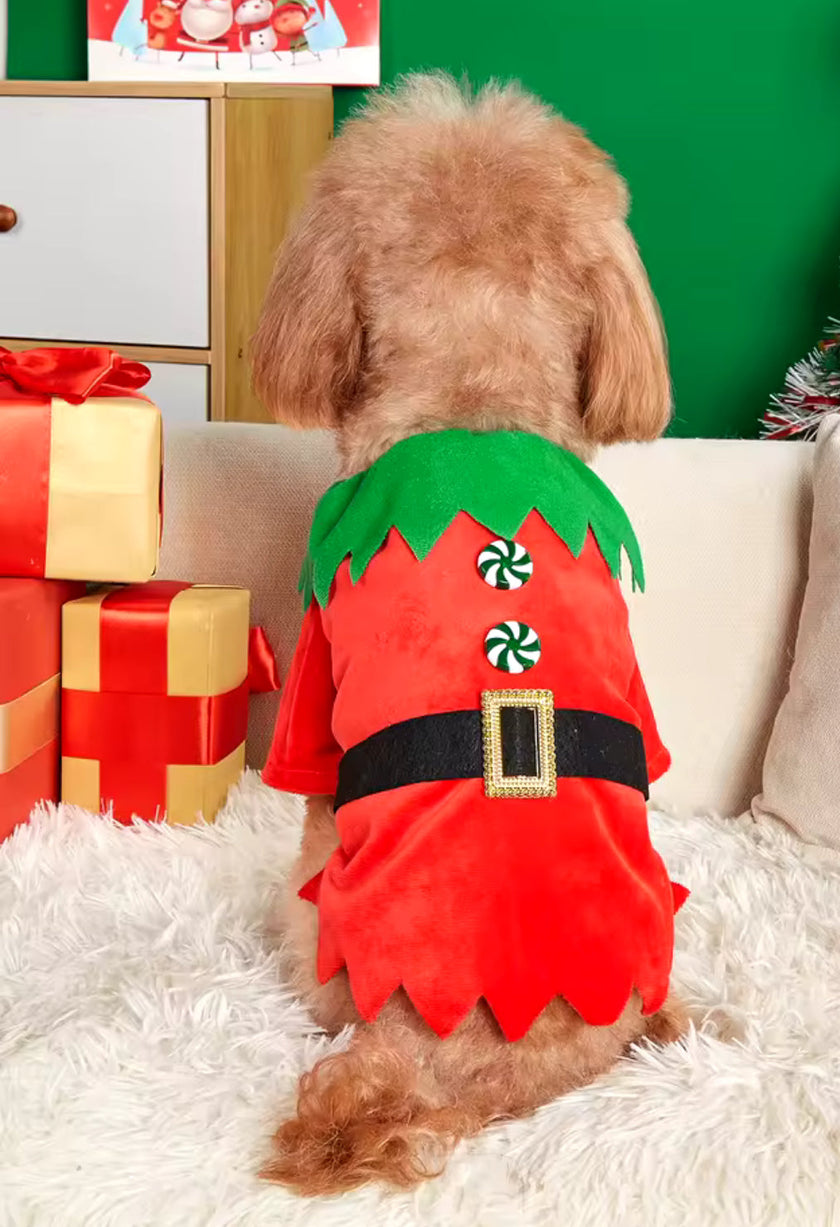 Elf Christmas Outfit – Festive Holiday Costume for Dogs