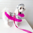 Ultra Violet Harness Set | Dog Harness Leash and Hat Set