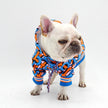 Brrbrry Graphic Dog Hoodie | Hooded Dog Jacket