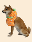Pumpkin Dog Costume | Halloween Dog Costume