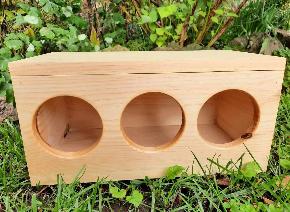 Boîte à foin pour lapins et cochons d'Inde