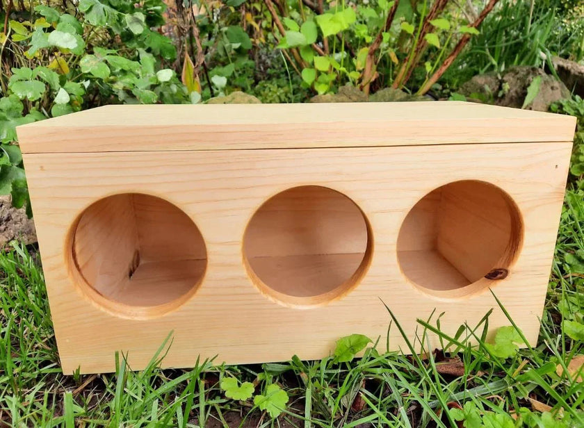 Boîte à foin pour lapins et cochons d'Inde