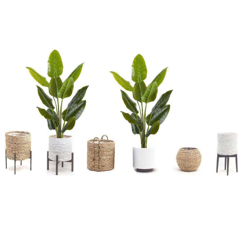 Elza Artificial Bird Of Paradise Potted Plant (Multiple Sizes)