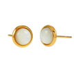 ENFIELD : Boucles d'oreilles rondes en coquillages naturels avec bordure dorée