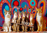 ENJOY - Cinq chats (puzzle de 1000 pièces)