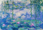ENJOY - Monet: Nympheas (1000-Piece Puzzle)
