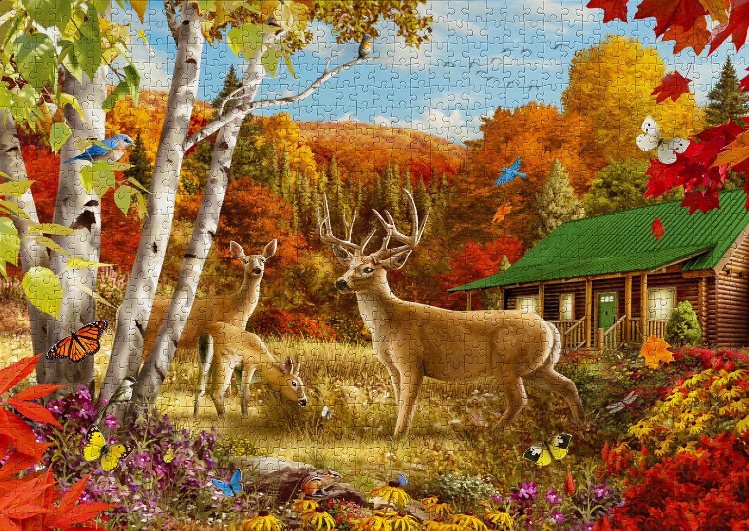 ENJOY - Somewhere in a Field (1000-Piece Puzzle)