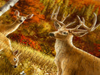 ENJOY - Somewhere in a Field (1000-Piece Puzzle)