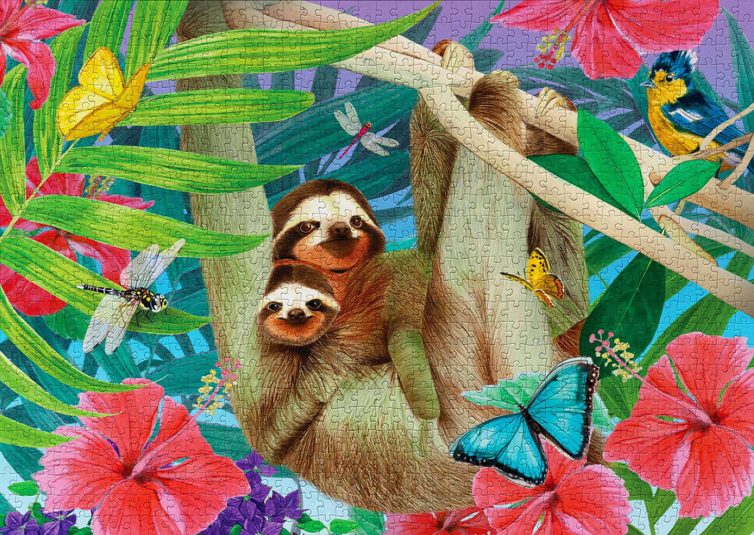 ENJOY - Sweet Sloths (1000-Piece Puzzle)