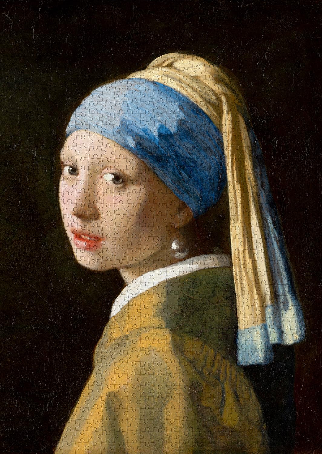 PROFITEZ - Vermeer : La Jeune Fille à la Perle (Puzzle 1000 Pièces)