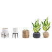 Eren Artificial Evergreen Potted Plant 39''