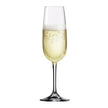 Eisch - Sensis Plus Vino Nobile Champagne Flute 77oz (Set of 6)