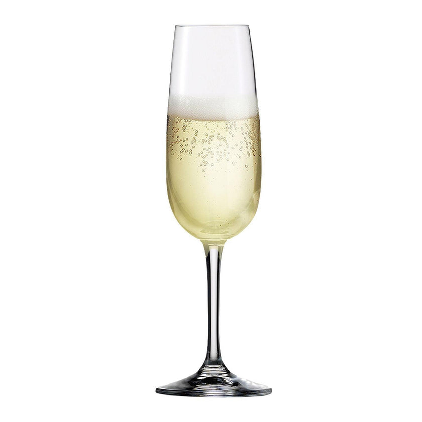 Eisch - Sensis Plus Vino Nobile Champagne Flute 77oz (Set of 6)