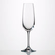 Eisch - Sensis Plus Vino Nobile Champagne Flute 77oz (Set of 6)