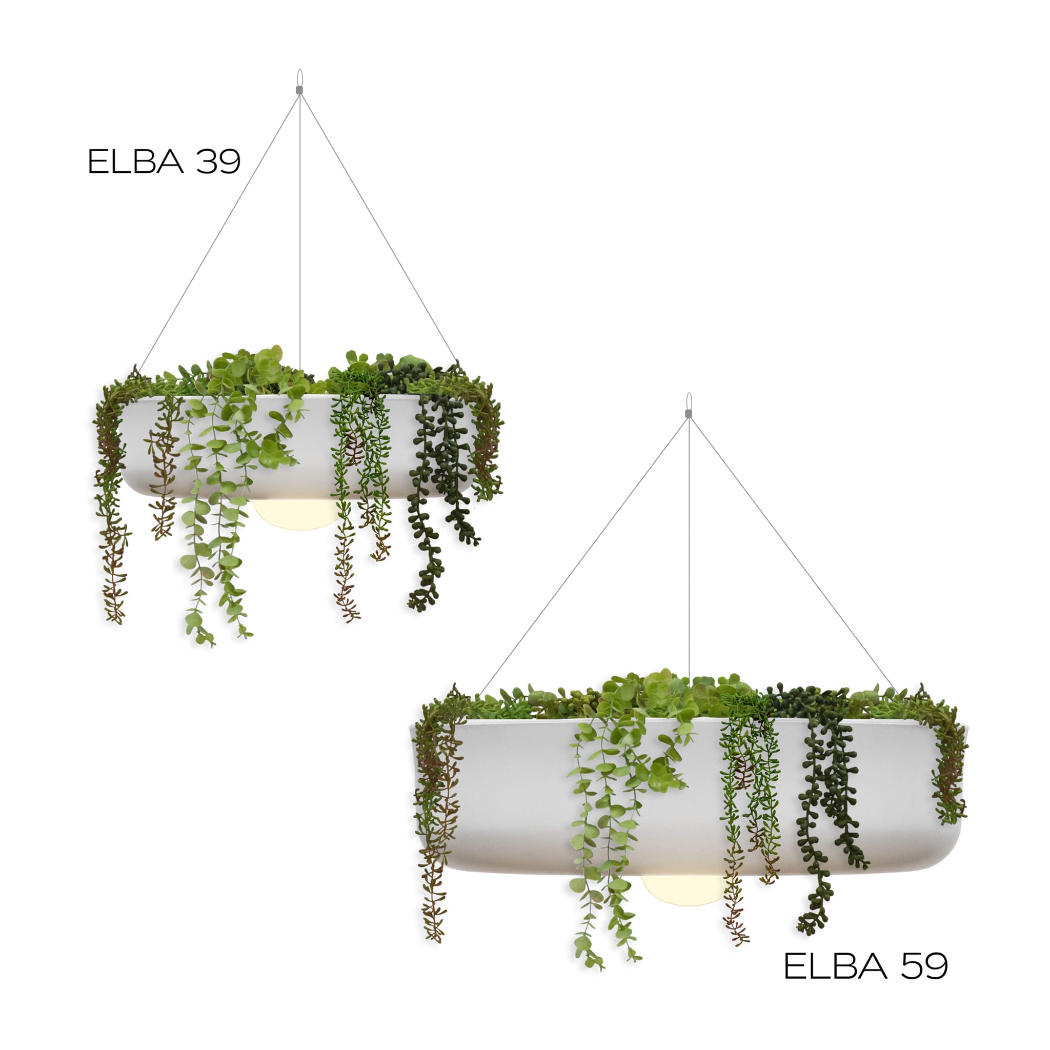 Elba