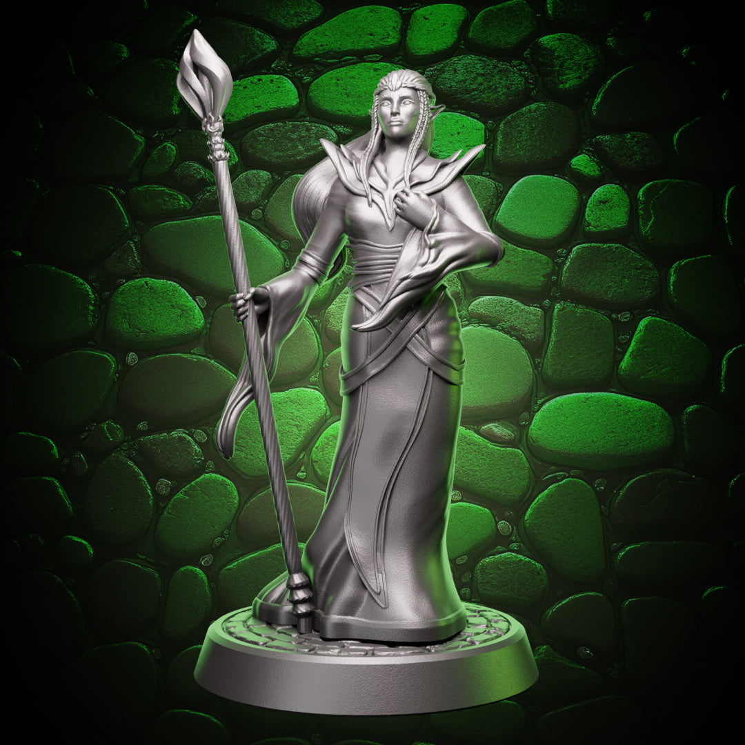 Elf Sorcerer | Staff  | 5e