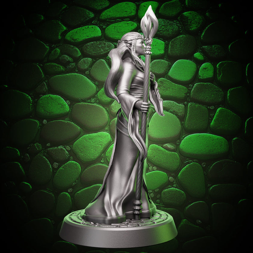 Elf Sorcerer | Staff  | 5e