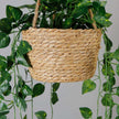Ennio Faux Potted Hanging Plant (3.9 Feet)