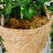 Ennio Faux Potted Hanging Plant (3.9 Feet)
