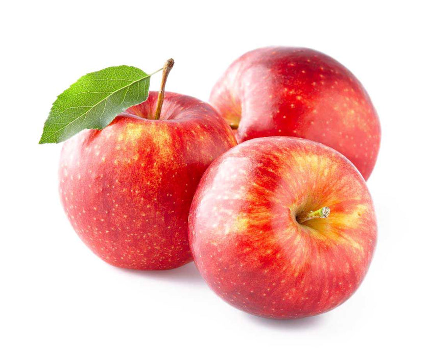 Essential Oil - Apple Seed Oil (Pyrus Malus)