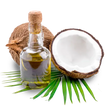 Essential Oil - Coconut (Cocos Nucifera)