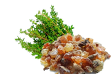 Essential Oil - Myrrh (Commiphora Myrrha)