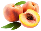 Essential Oil - Peach (Prunus Persica)