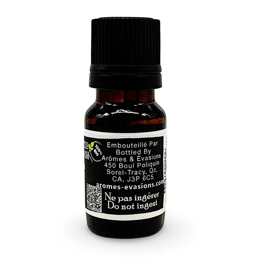 Essential Oil - Vanilla (Vanilla Planifolia)