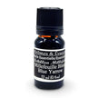 Essential Oil - Blue Yarrow (Achillea Millefolium)