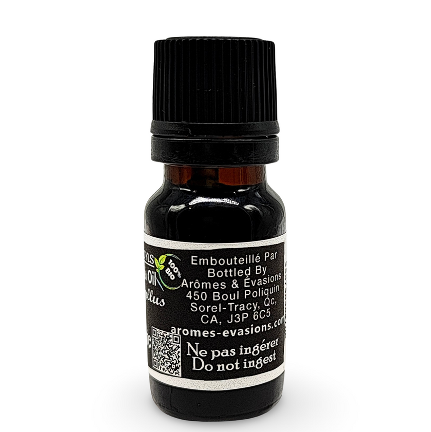 Essential Oil - Carnation Absolute (Dianthus Caryophyllus)