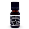Essential Oil - Celery Seeds (Apium Graveolens)