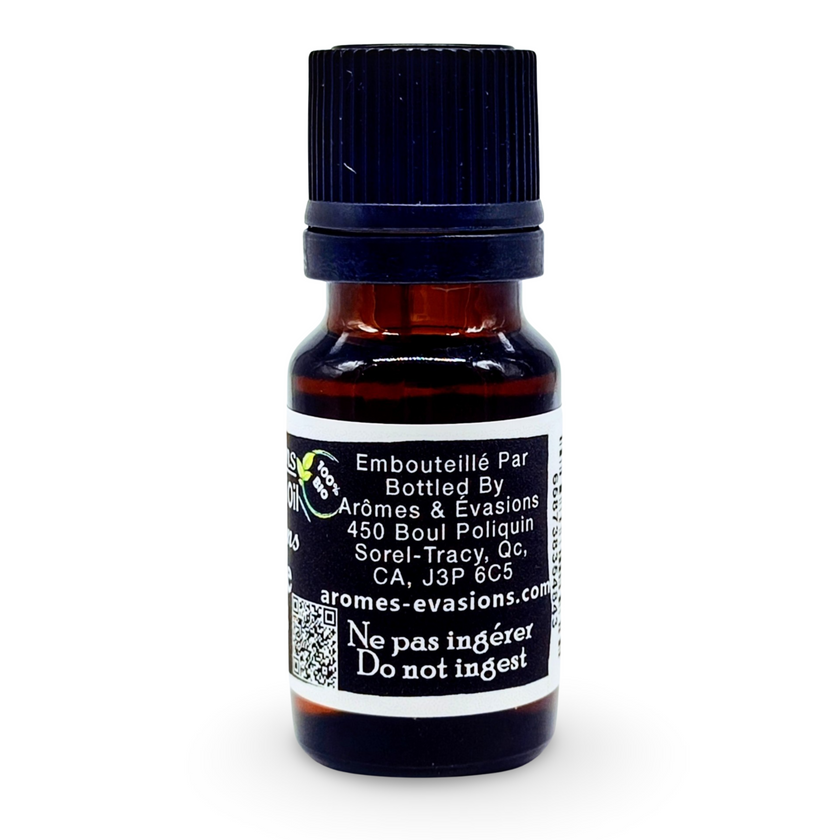 Essential Oil - Celery Seeds (Apium Graveolens)