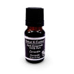 Essential Oil - Coriander (Coriandrum Sativum)