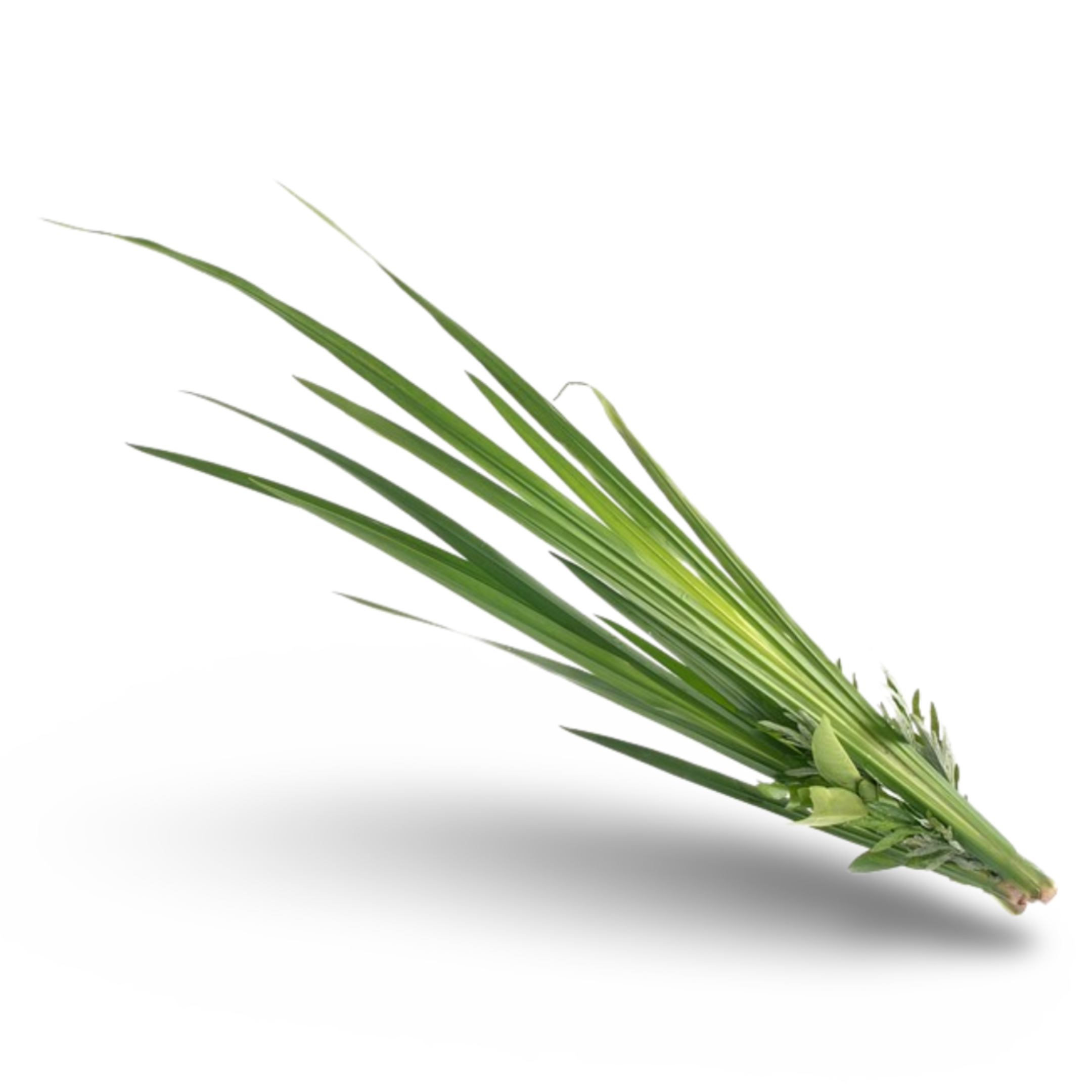 Essential Oil - Palmarosa (Cymbopogon Martinii Var Motia)