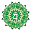 Essential Oil - Premium Collection - Heart Chakra