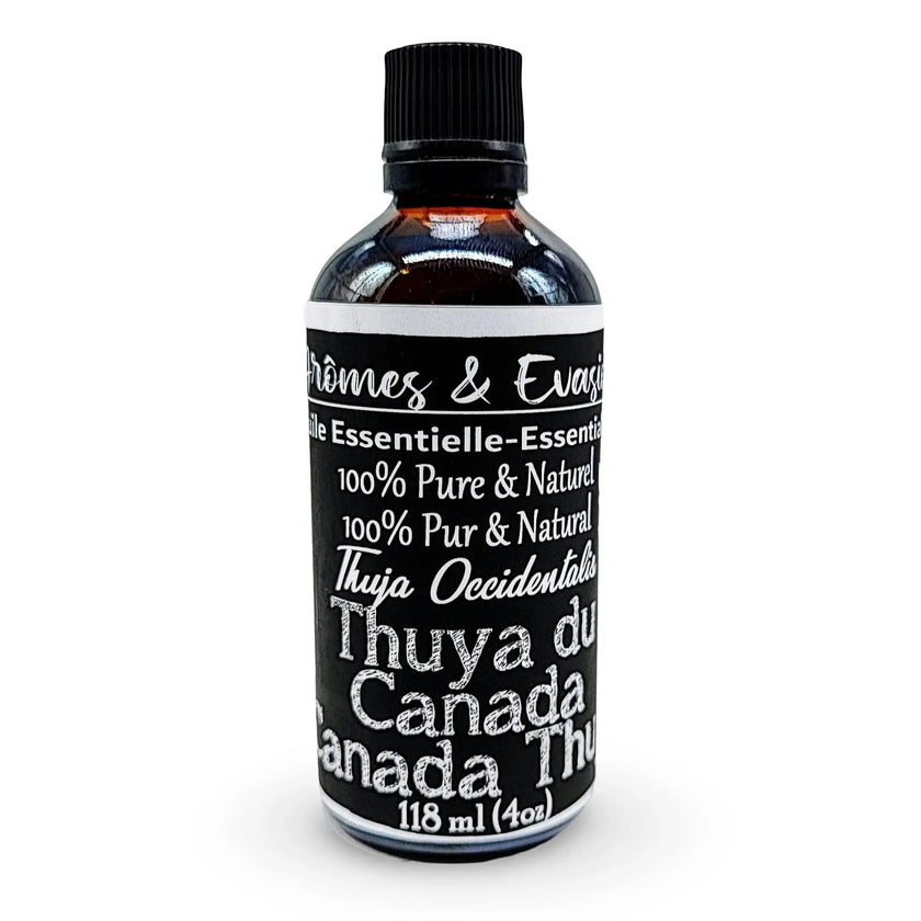 Essential Oil - Thuja Canada (Thuja Occidentalis)