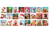 Eurographics - Advent Christmas Paws