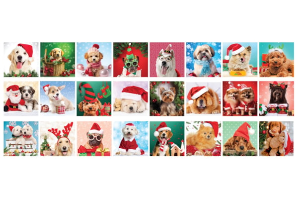 Eurographics - Advent Christmas Paws